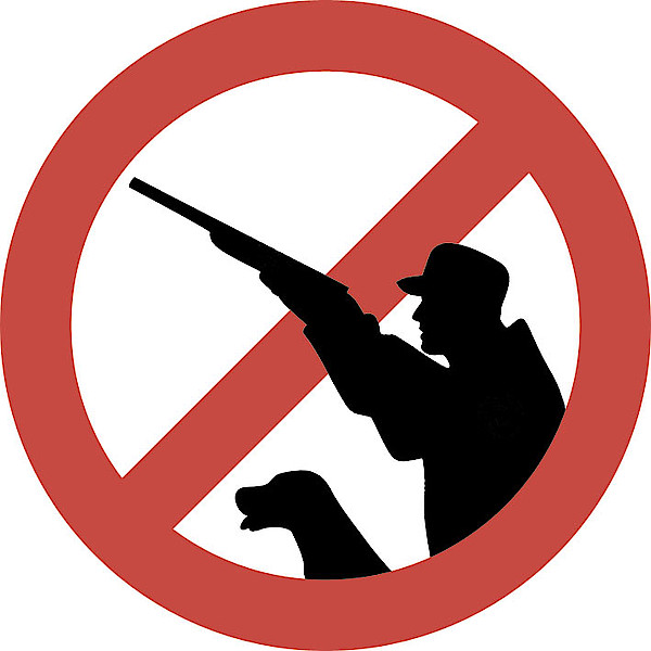 О запрете охоты.